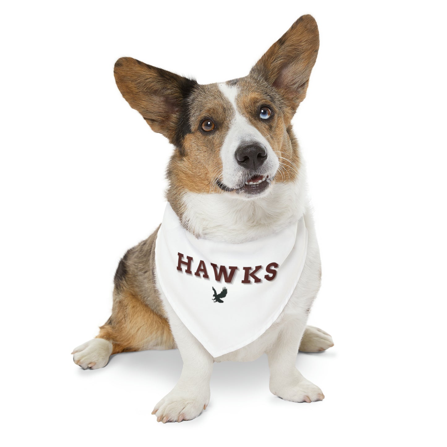 Hawks Dog Bandana